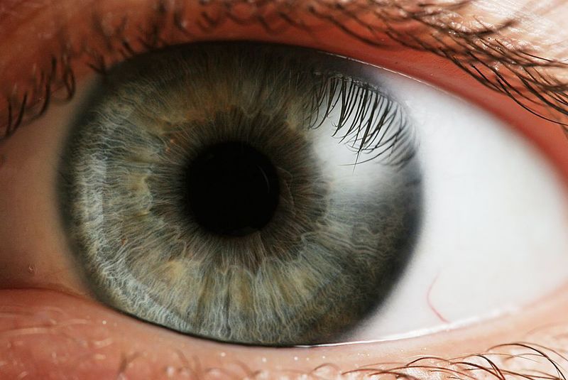 Controlled trial offers hope for restoring vision in LSCD patients
