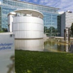 Boehringer and Lilly report positive data from Tradjenta trial
