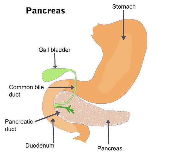 Ultresa – Treatment for Exocrine Pancreatic Insufficiency (EPI)