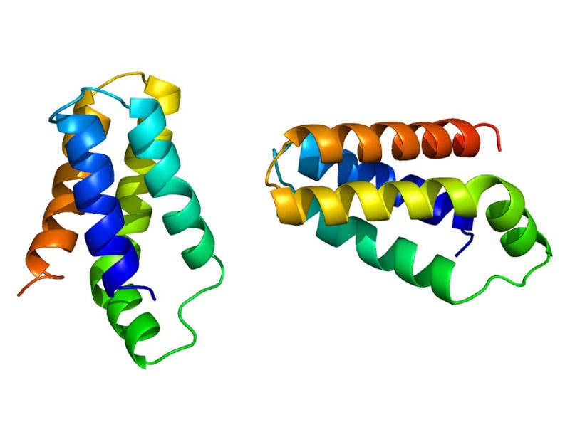 アフィニターのコスト