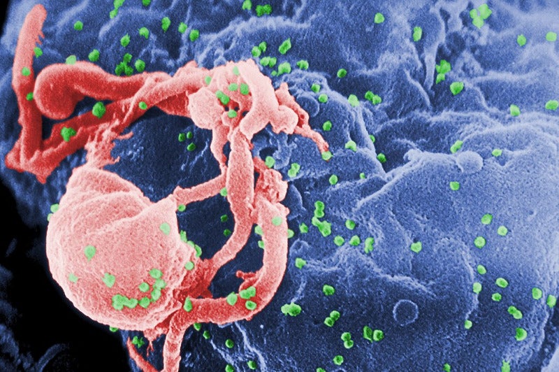 Merck reports positive data from islatravir Phase I HIV trial