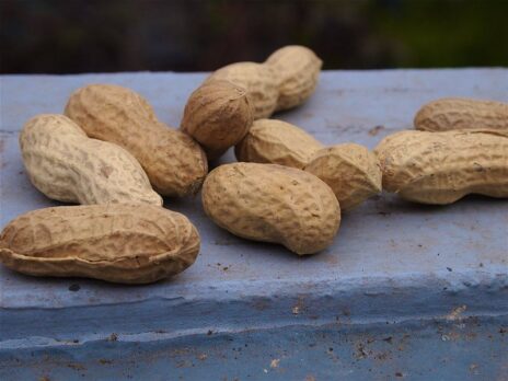 Aimmune starts POSEIDON trial to treat peanut allergy