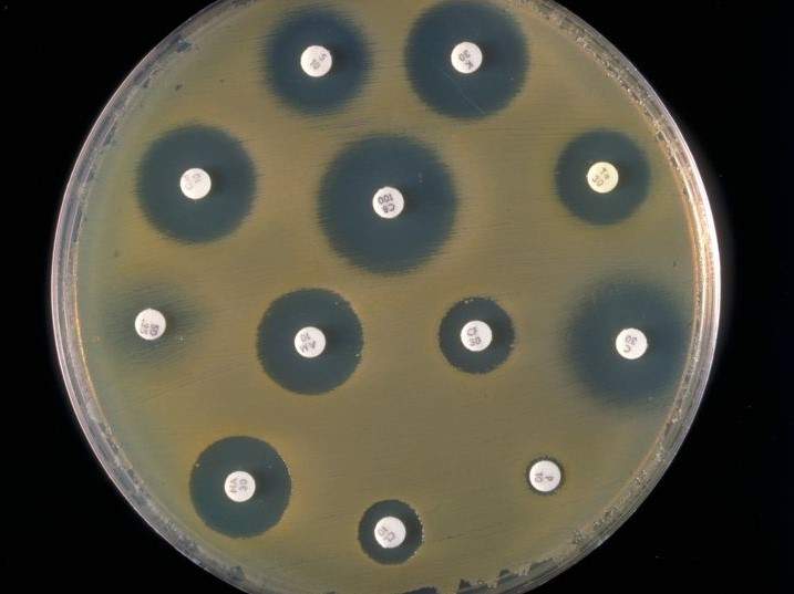 Combining antibiotics with immune response to treat antibiotic resistant bacteria