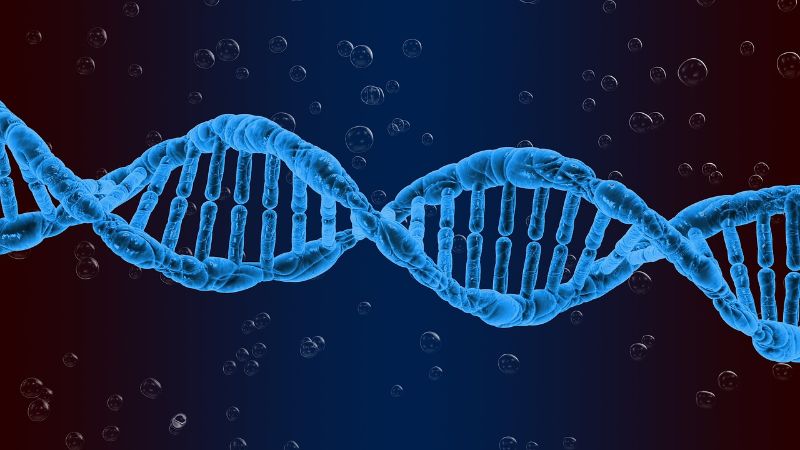 Inovio secures approval to test DNA drug for RRP in US