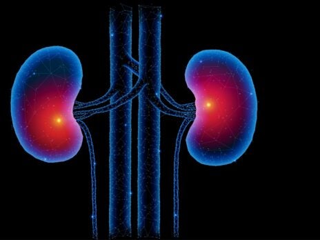 Interim data from tenapanor’s OPTIMIZE trial signals promising option for CKD-HP