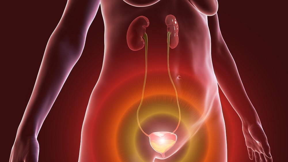 Major unmet needs in overactive bladder unlikely to be addressed in the near future
