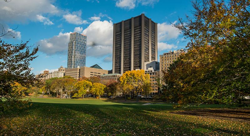 Mount Sinai starts Phase I trial of egg-based Covid-19 vaccine - Vimarsana News