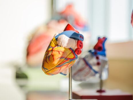 BMS’ mavacamten boosts cardiovascular outcomes in obstructive HCM study