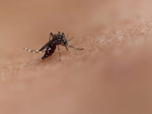 NIAID-developed vaccine for mosquito-borne viruses found safe in Phase I trial