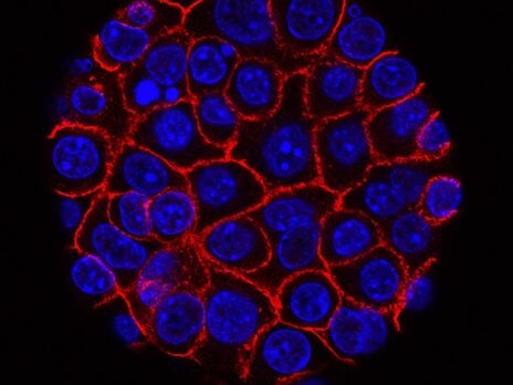 Prestige Biopharma receives FDA approval for Phase I/IIa pancreatic cancer trial