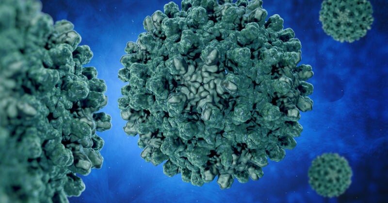 Further study shot dive for HBV, pancreatic cancer assets after trials end early - Vimarsana News