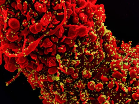 NIH-led Covid-19 trial shows immune modulator drugs boost survival