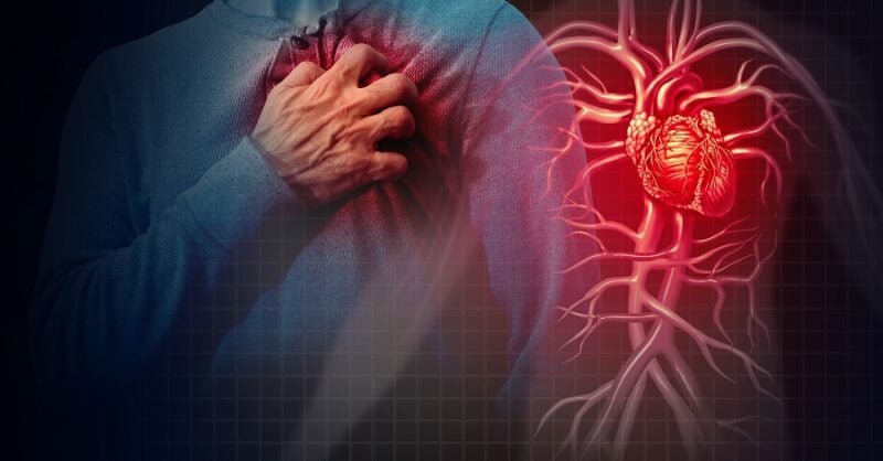 Study underscores the relationship between social conditions and heart disease - Vimarsana News