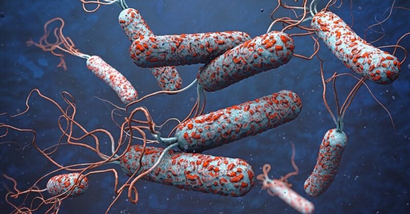 Flooding in South Asia causes relentless outbreak of water-borne disease - Vimarsana News