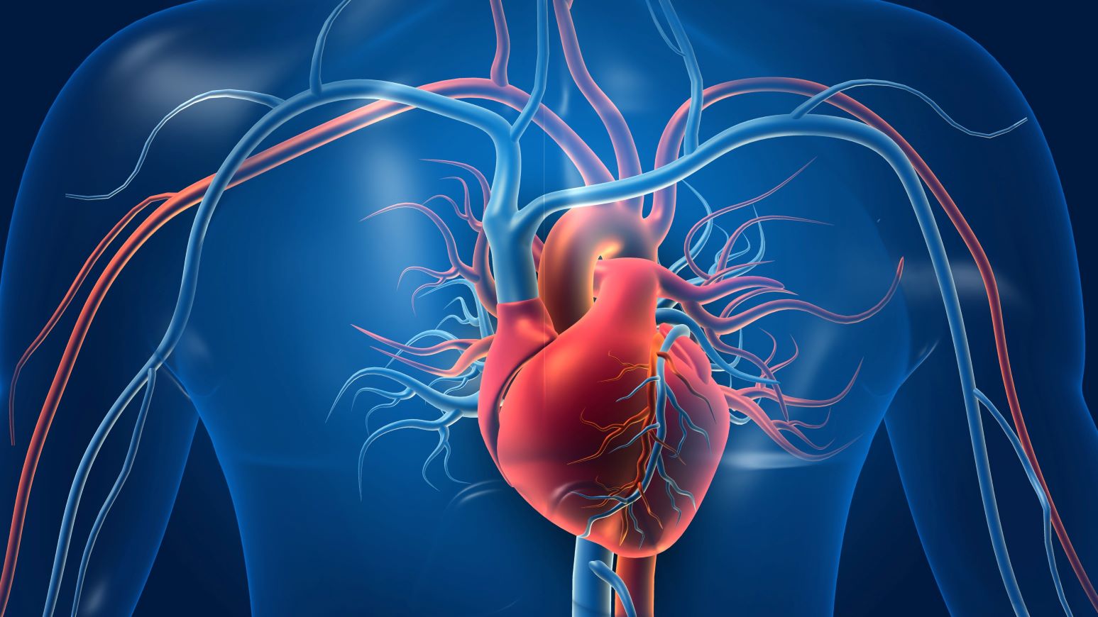 Rivaroxaban reduces adverse kidney events in atrial fibrillation ...