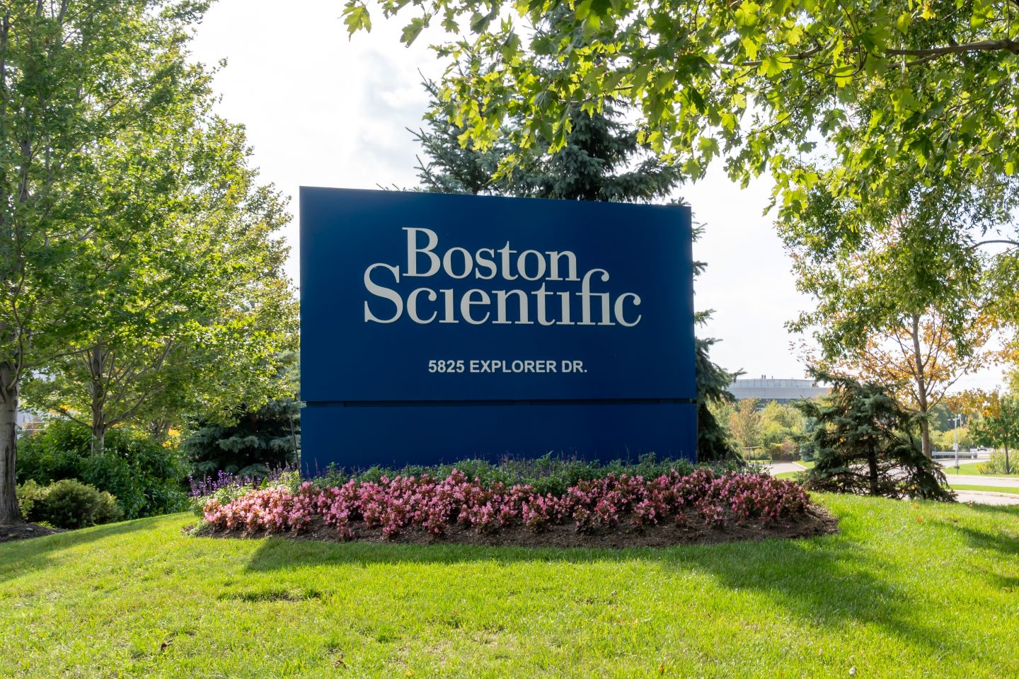 Boston Scientific presents Watchman FLX and EKOS endovascular system data
