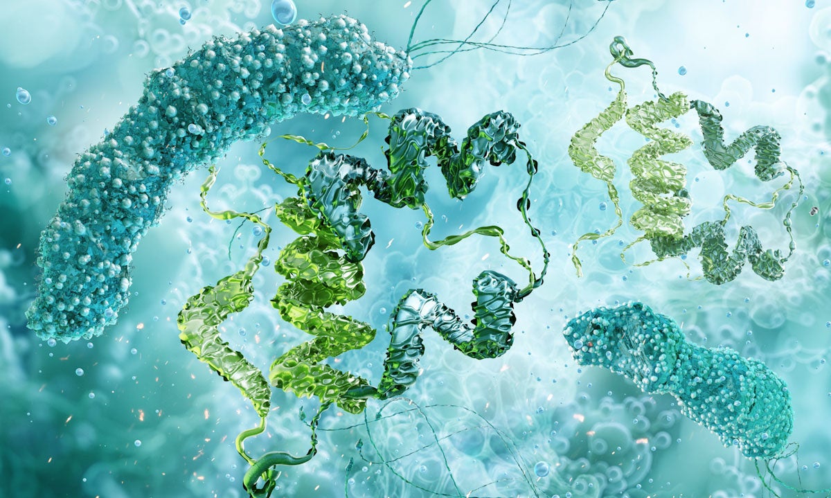 Peptide drug conjugates: How the Indena and Chemi partnership is delivering