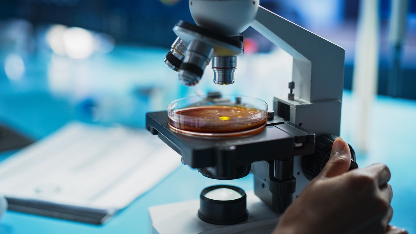 Innate Pharma concludes enrolment in dose escalation of IPH4502 study