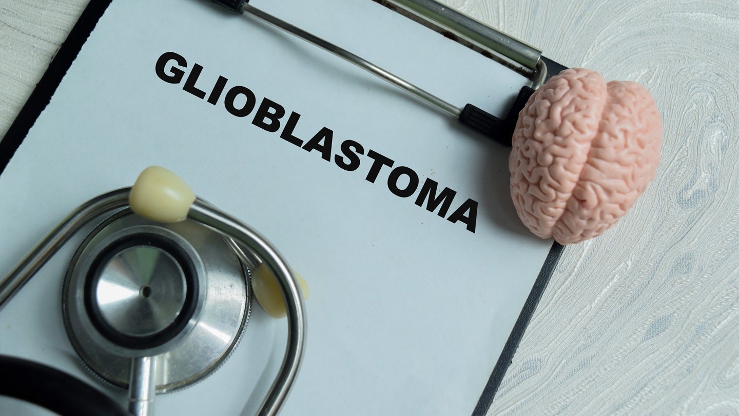 Enrolment opens for Adaptin Bio’s Phase I trial of glioblastoma therapy
