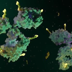 Akeso AK158D1 trial