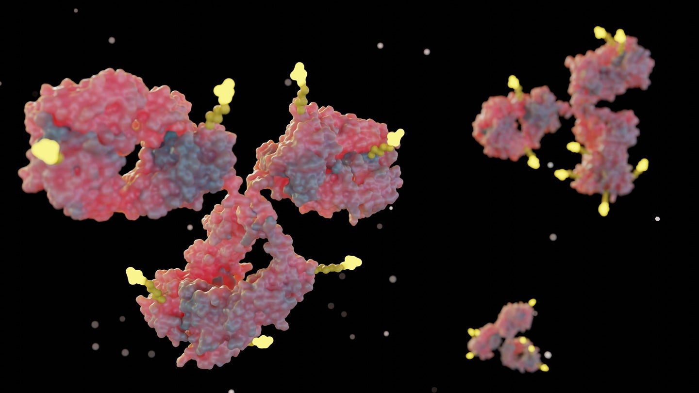 First patient dosed in MacroGenics’ Phase I MGC030 trial